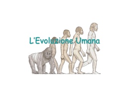 Evoluzione_Umana