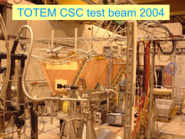 TOTEM CSC test beam 2004