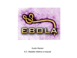 1._Raineri_Ebola