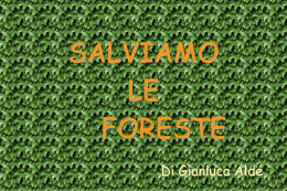 SALVIAMO LE FORESTE BY GIANLUCA ALDE`