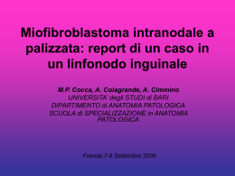 Miofibroblastoma intranodale a palizzata: report di un caso in un