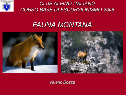 Fauna montana – Corso base di escursionismo 2008 - AE-CMI