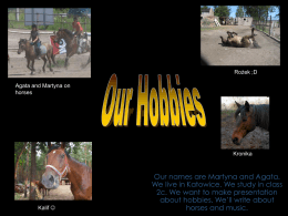 Our Hobbies