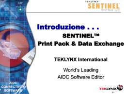 Presentazione SENTINEL - Tek-IT