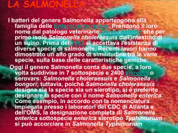 Salmonella - IHMC Public Cmaps (2)
