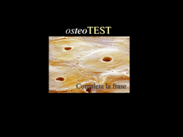 OSTEO-test: completa la frase, intruso, numeri, vero/falso.