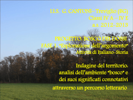 Diapositiva 1 - ITAS Cantoni Treviglio