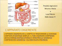 Diapositiva 1 - Istitutodellaquila.it