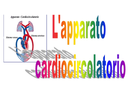 cardiocircolatorio - Liceo Scientifico Salvemini
