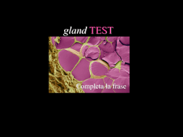 GLAND-test: completa la frase, numeri, vero/falso.