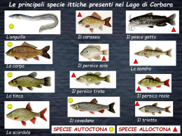 Fauna ittica - Provincia di Terni