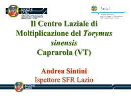 Il Centro Laziale di Moltiplicazione del Torymus sinensis Caprarola
