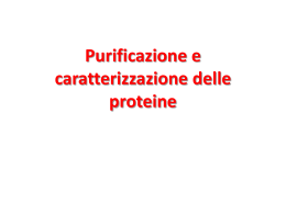 Purificazione e caratterizzazione delle proteine - Uninsubria