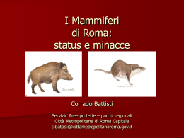 I Mammiferi della Provincia di Roma: dallo stato delle conoscenze