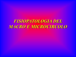 IL MICROCIRCOLO