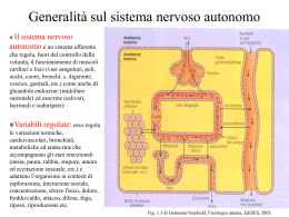 Fisiologia del Sistema Nervoso