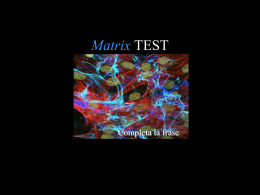 MATRIX-test: completa la frase, numeri, vero/falso.