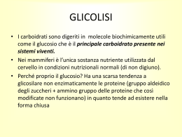 12 glicolisi
