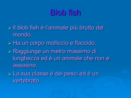 Blob fish nicla francy ale
