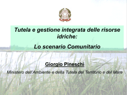 Norme sull`ambiente (G. Pineschi) - Associazione Idrotecnica Italiana