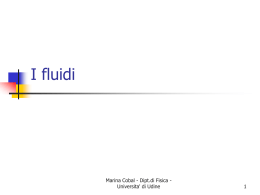 Esercizi fluidi - Universita` di Udine