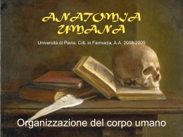Lezione 6 - Università degli Studi di Pavia