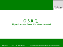 O.S.R.Q. – Organizational Stress Risk Questionnaire