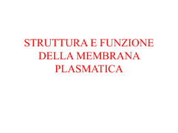 6.Struttura e funzione della Membrana plasmatica