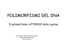 POLIMORFISMI DEL DNA