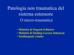 Patologia microtraumatica del sistema estensore - lerat