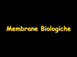 04_Membrane_Biologiche - Università degli Studi di Roma Tor