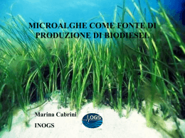 Microalgae come fonte di produzione di Biodiesel