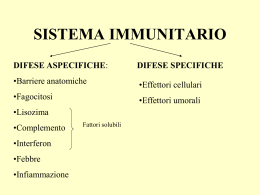 stimolarne il sistema immunitario