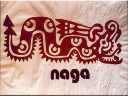 NAGA (Olivani) - Medici con l`Africa