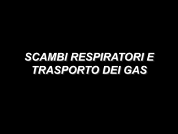 n° 7 - scambi respiratori (vnd.ms-powerpoint, it, 1577 KB, 12/19/02)