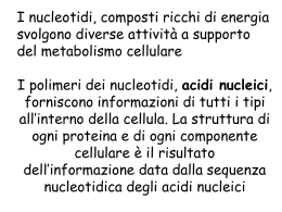4 acidi nucleici