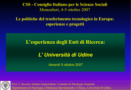Saverio Ambesi (Università di Udine)