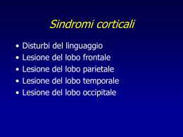 Sindromi corticali