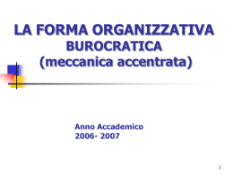 Forma organizzativa burocratica (meccanica accentrata)