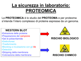 Proteomica-20-02
