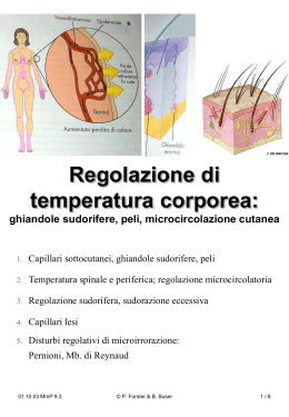 Regolazione di temperatura corporea: ghiandole sudorifere, peli