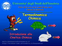 Termodinamica Chimica - Università degli Studi dell`Insubria