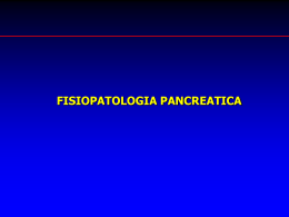 fisiopatologia pancreatica