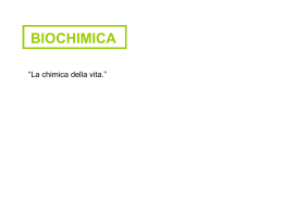 Biochimica_1