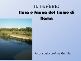 IL TEVERE: flora e fauna del padre di Roma