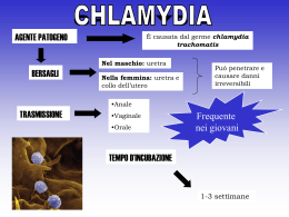 MTS Chlamydia - Istituto Pascal RE