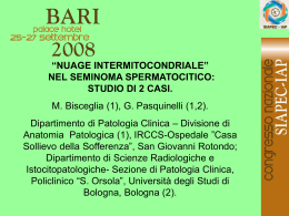 128 - M. Bisceglia, G.Pasquinelli.