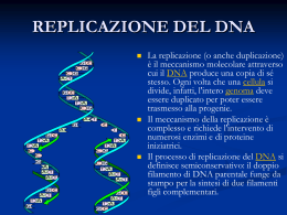 2 Replicazione del DNA