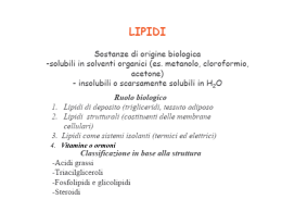 8.lipidi