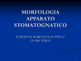 Schemi di Morfologia File